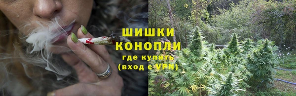 мет Осинники