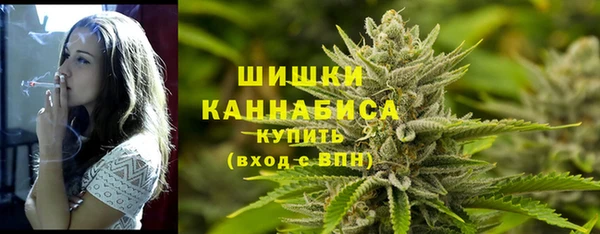 мет Осинники
