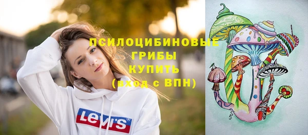 прущие грибы Нягань