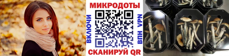 Псилоцибиновые грибы Cubensis  Коряжма 