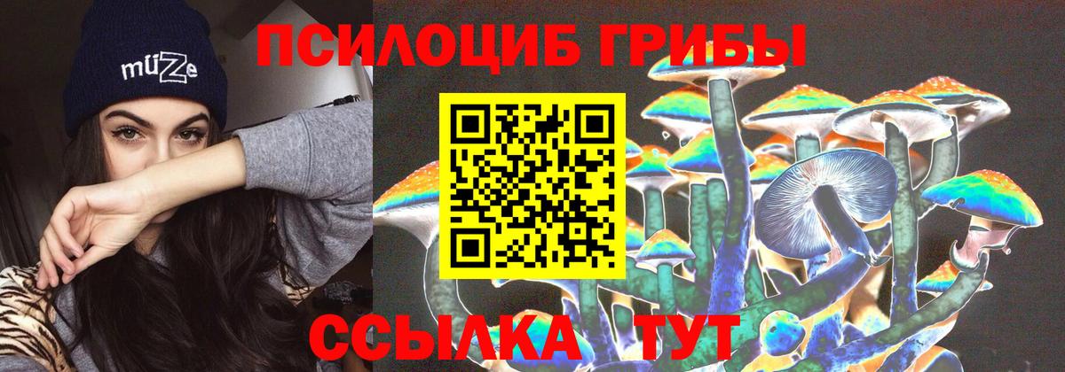 Псилоцибиновые грибы Cubensis  Псилоцибиновые грибы ЛСД  Вход с VPN  Коряжма 
