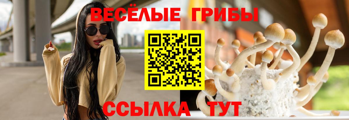 Псилоцибиновые грибы мухоморы Коряжма
